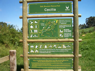 hiking-southafrica-cecilia-forest-11