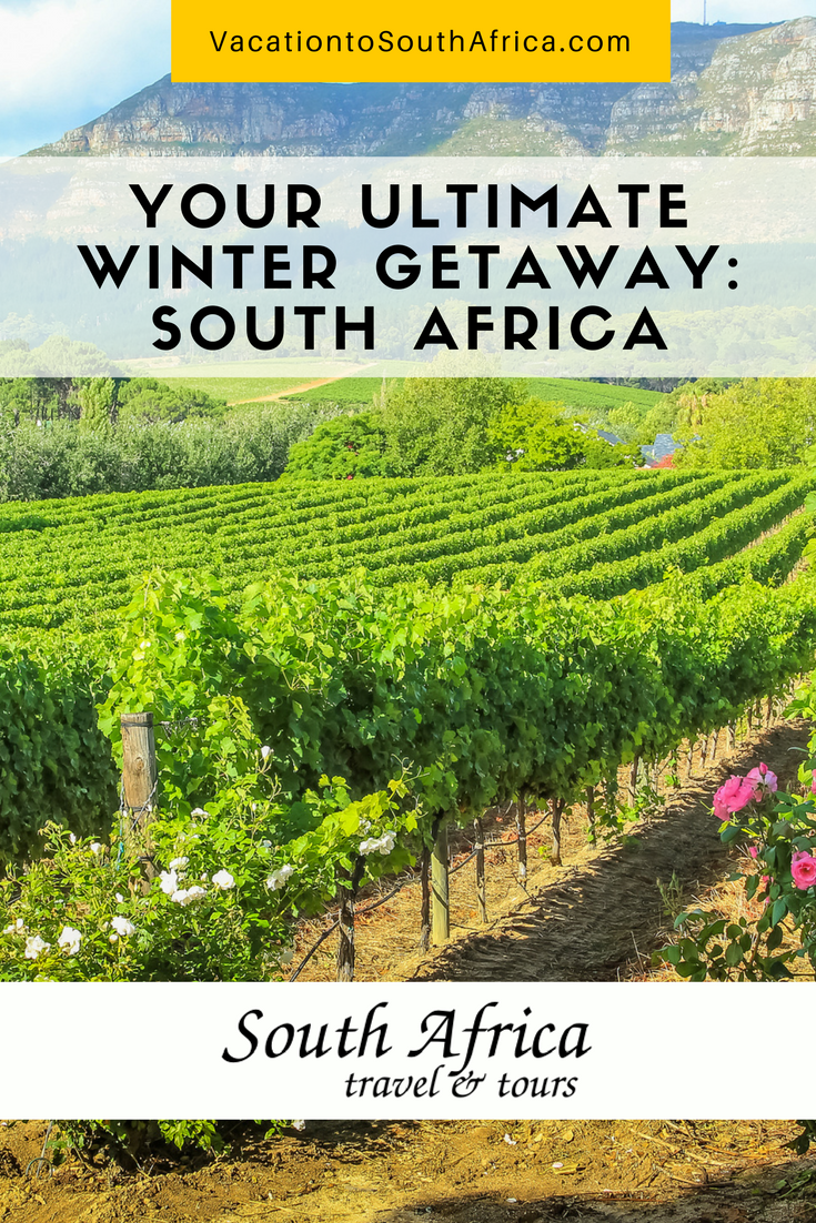 Best Winter Getaway: South Africa
