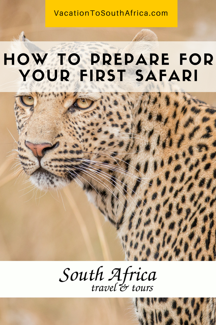10 Common Questions from First Time Safari Goers