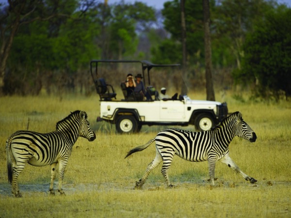 Is a South African Safari dangerous?