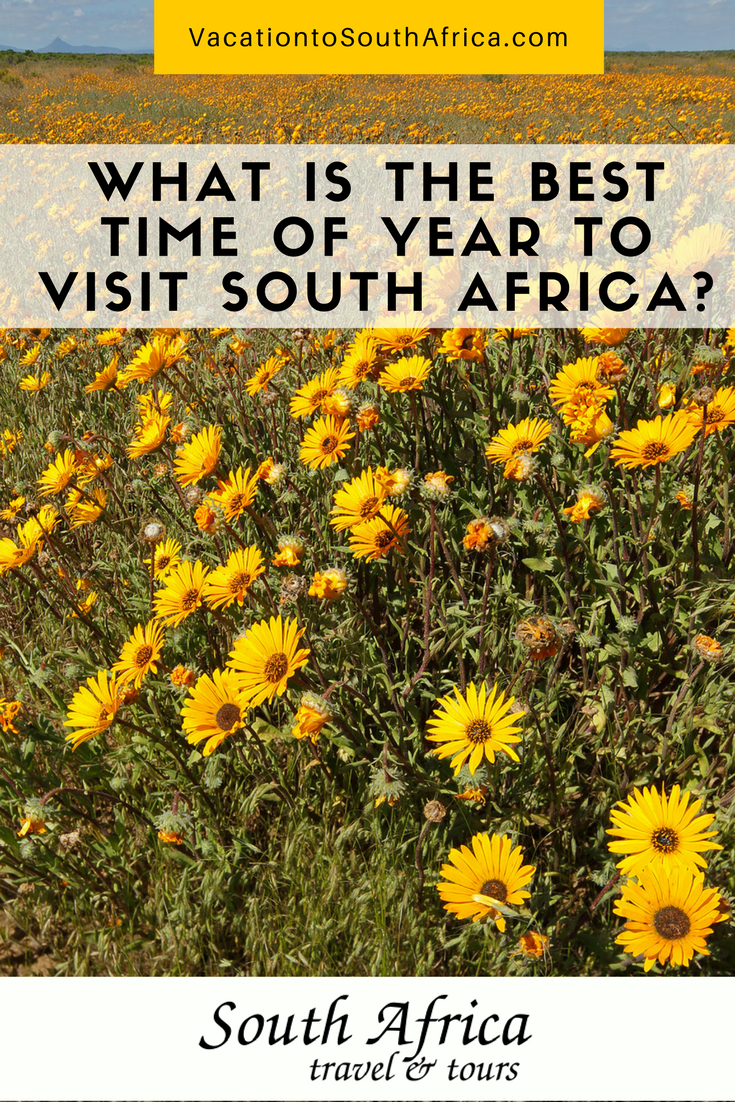 What is the best time of year to visit South Africa?